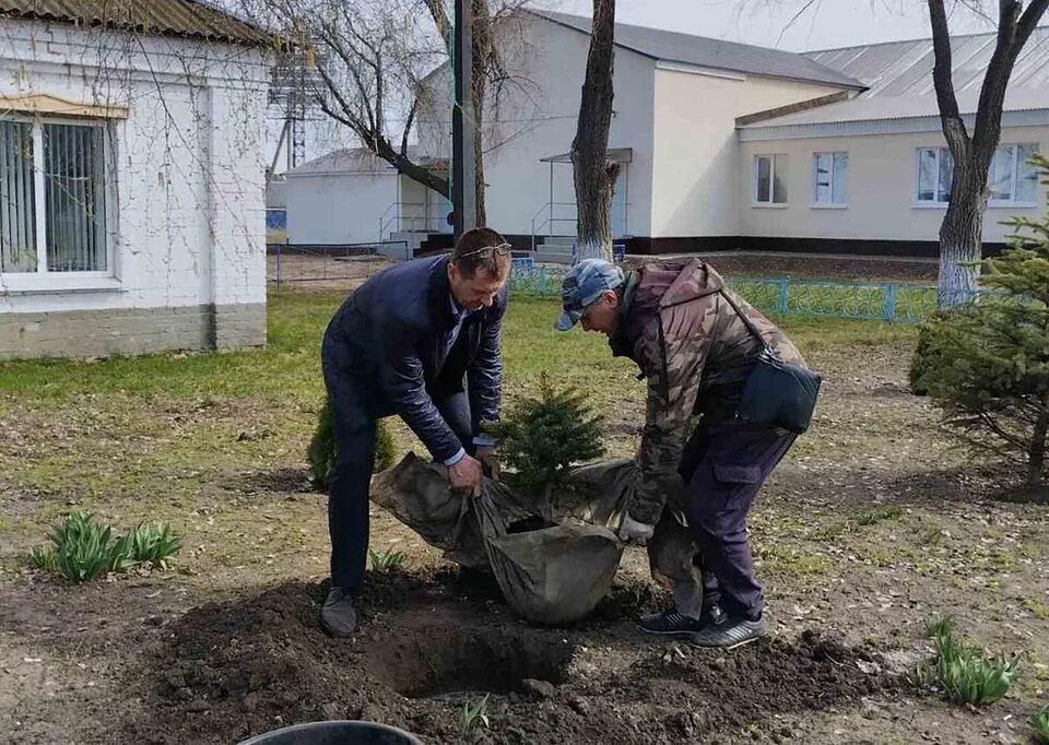 Приволжье село спасское. Погода спасское приволжский самарской. Погода спасское приволжский самарской. Село спасское. Посадка деревьев.