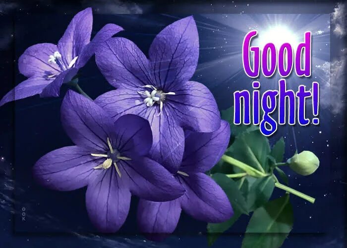Доброй ночи картинки пожелания женщине позитивные весенние. Цветы с пожеланием спокойной ночи. Открытки с пожеланием спокойной ночи. Спокойной ночи с цветами. Открытка спокойной ночи приятных.
