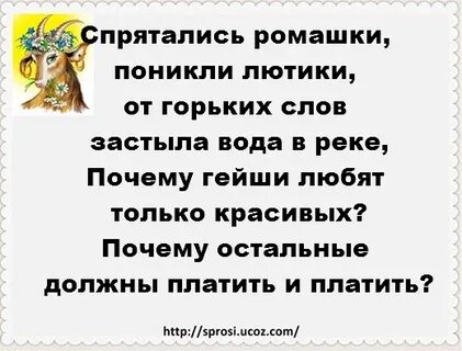 Караоке ромашки спрятались поникли