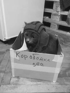 Собиралась 1