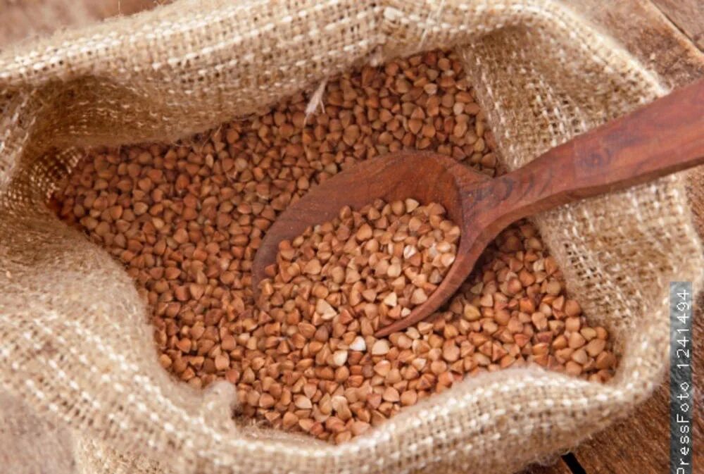 Мешок гречки. Крупа гречневая ядрица 1 сорт. Гречиха в мешках. Гречневая крупа в мешке. Гречневая крупа в мешке.