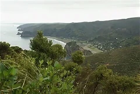 Coast range. Waitakere ranges.