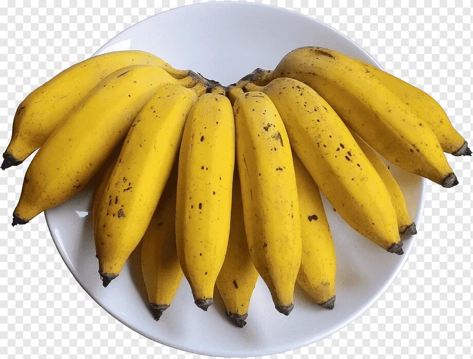Биг банана пенсил. Спелый банан. Песня банан. Бананас литл. Go bananas little big клип.