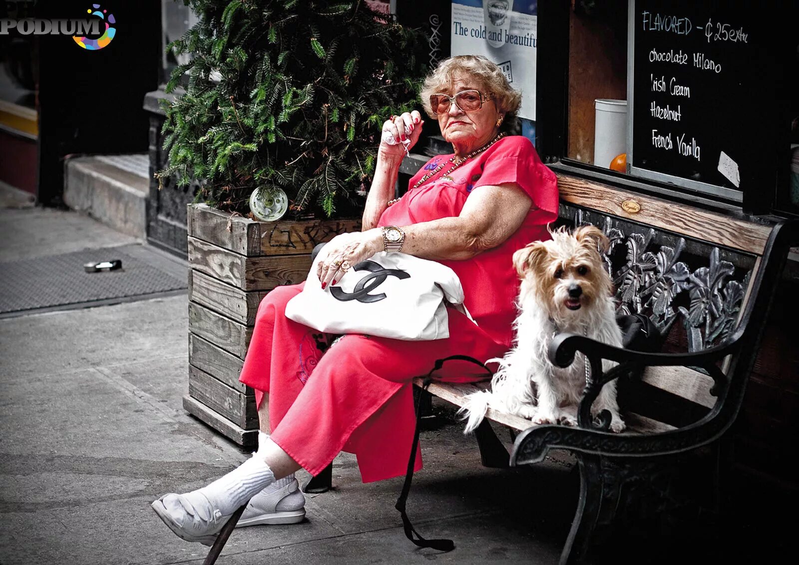 Пожилая женщина с собакой. Бабушка с собакой. Старушка с собачкой. Бабка с собачкой. Весёлая дама с собакой.