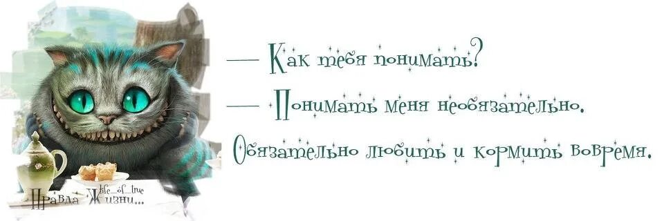 Необязательно как правильно. Понимать меня не обязательно. понимать меня необязательно. понимать меня не обязательно главное любить и кормить вовремя. чеширский кот понимать меня не обязательно.