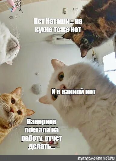 Совсем наташа