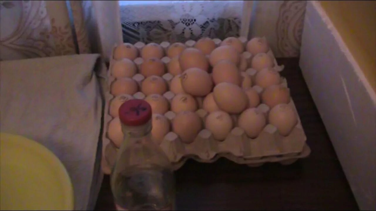 Мыть ли куриные яйца. Дезинфекция инкубационных яиц. Дезинфекция яиц перед инкубацией. Обработка яиц перед закладкой в инкубатор. Инкубатор для яиц своими руками.