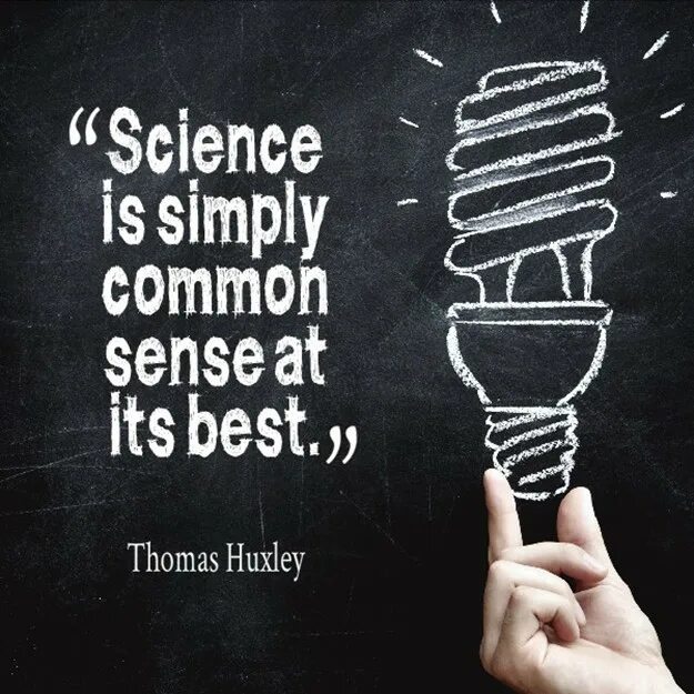 Its better. Quotes about Science. Scientific quotes. Quotes about Science and Technology. Citations надпись Science.