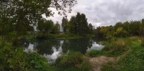 Баташевский сад фото