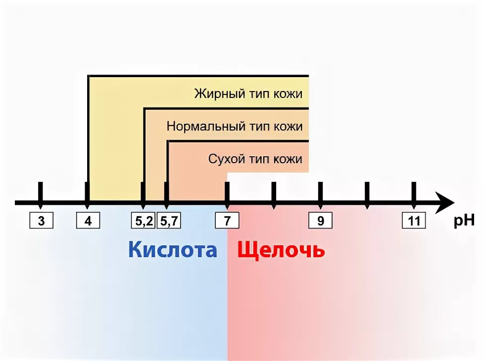 Кислотности жира. РН кожи. PH кожи человека. PH кожи лица. PH средств для лица.