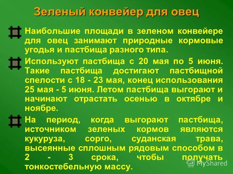 зеленый конвейер