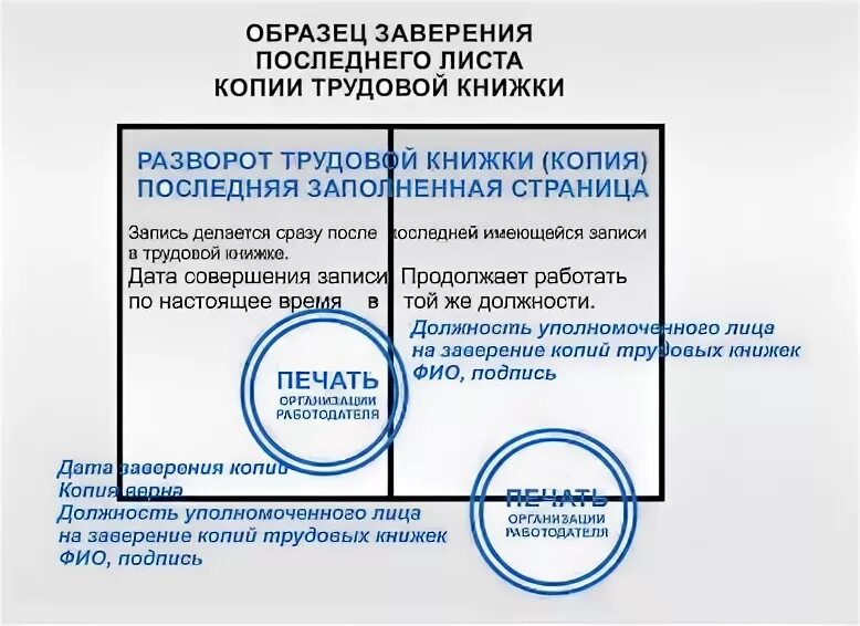 Заверение трудовой книжки копия верна. Копия верна Трудовая книжка как правильно заверить. Заверить последнюю страницу трудовой книжки образец. Последняя страница заверенной копии трудовой книжки. Печатью организации заверяется