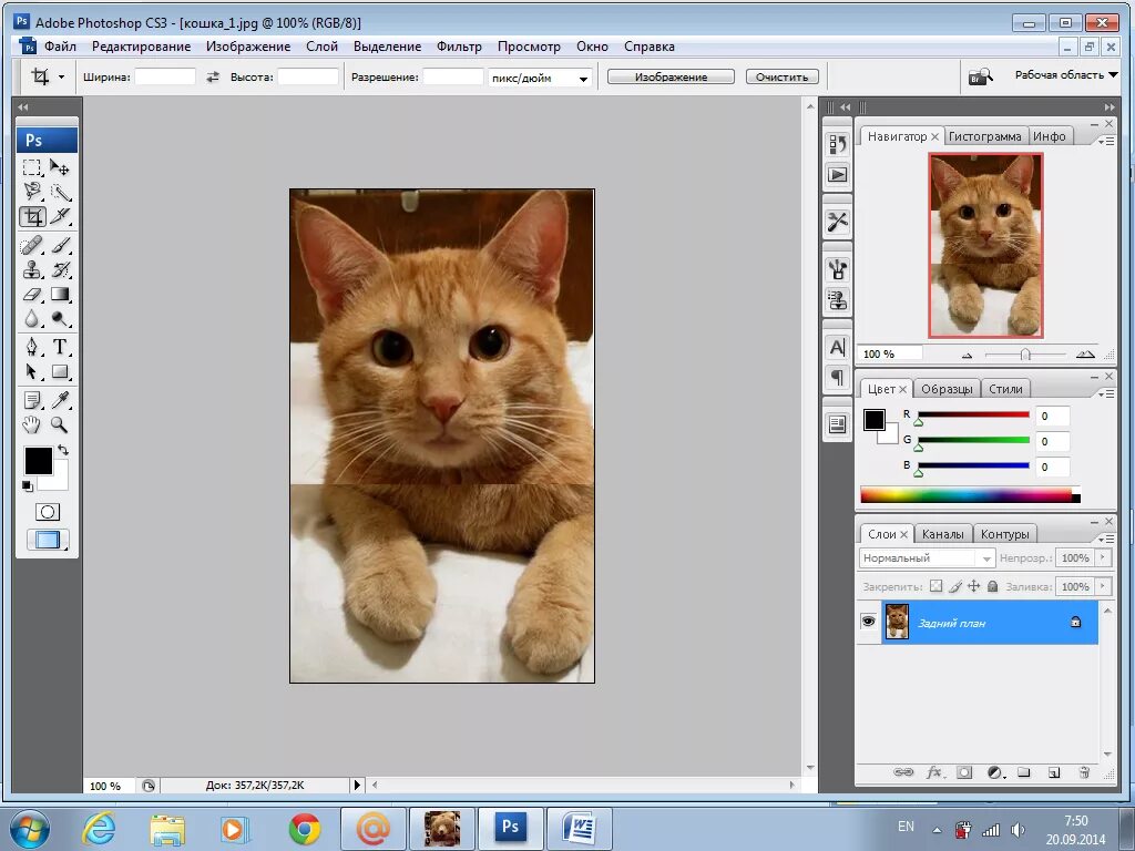 Растровый редактор Photoshop. Растровый графический редактор Adobe Photoshop. Редактирование растровых изображений. Редактор растровой графики Adobe Photoshop.