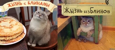 Блин включи пожалуйста