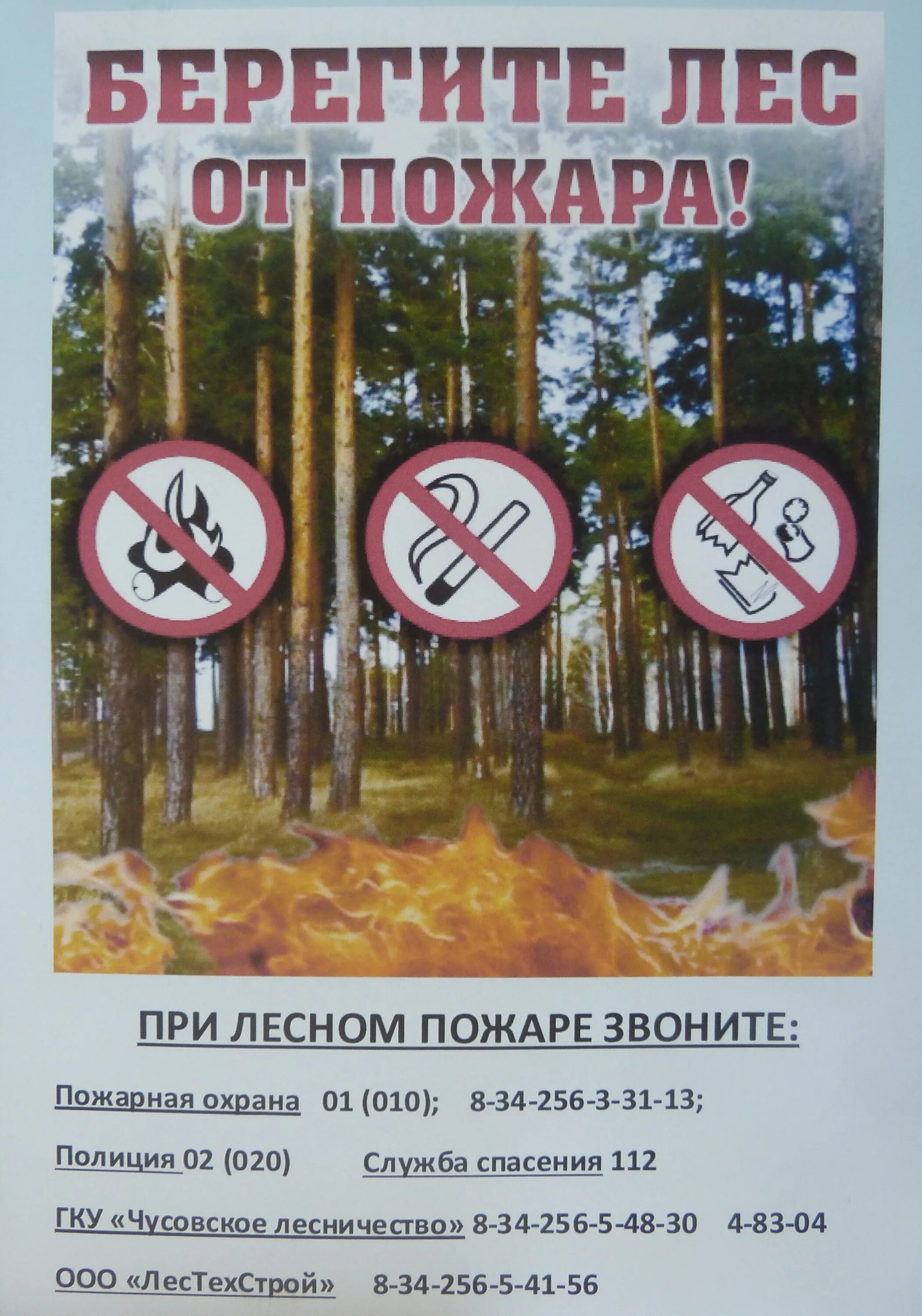 Противопожарные листовки. Берегите лес. Пожарная безопасность в лесу. Противопожарные предупреждения в лесу. Противопожарные аншлаги в лесу.