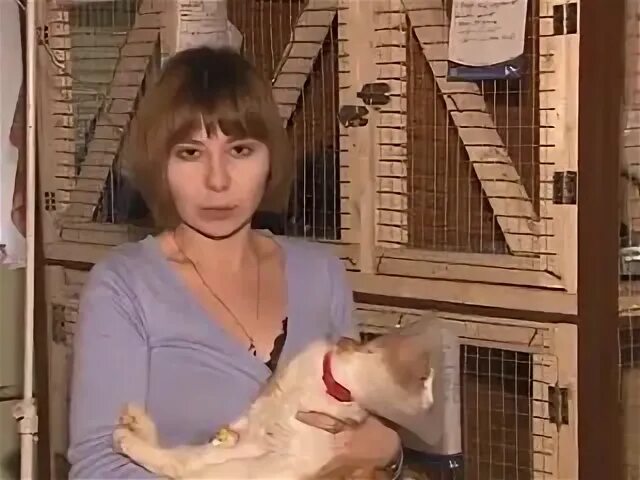 Круглосуточные ветклиники уфа. Ветклиника кутлиматова уфа. Ветклиника кутлиматова уфа. Ветклиника кутлиматова уфа. Халитовна бгму.