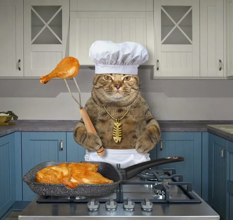 Cooking cat. Кот в поварском колпаке. Кот повар. Кот на кухне. Кошка готовит.