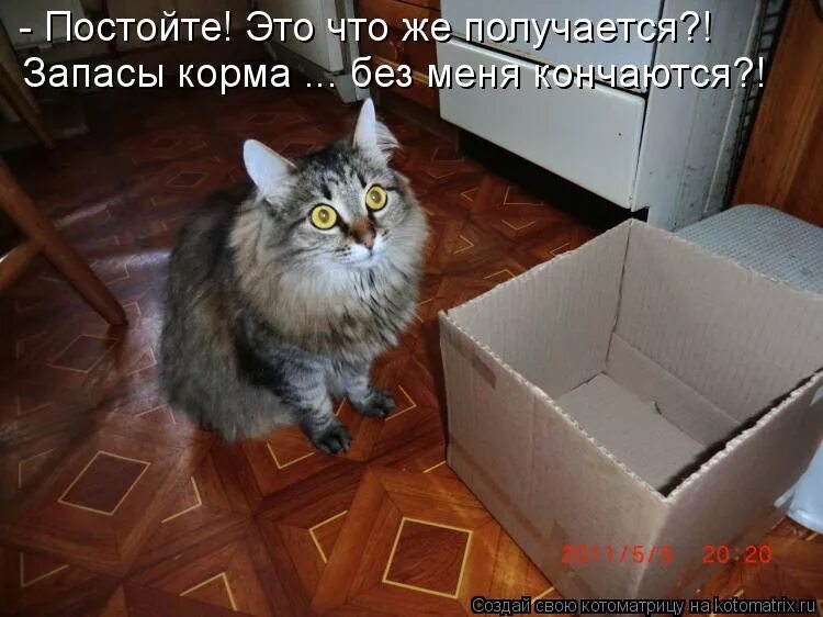 Хочу жрать. Еда на женщине. Когда поспал днем мем. Как понять что хочешь кушать. Прикольные фразы про колбасу.