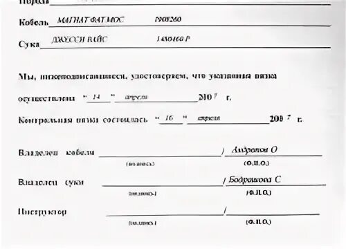 Акт вязок