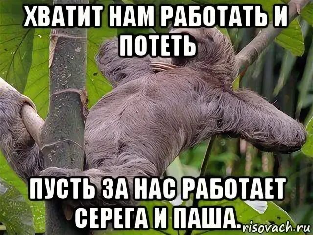 Он у нас работает