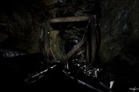 Платины уральских заводов из какого дерева