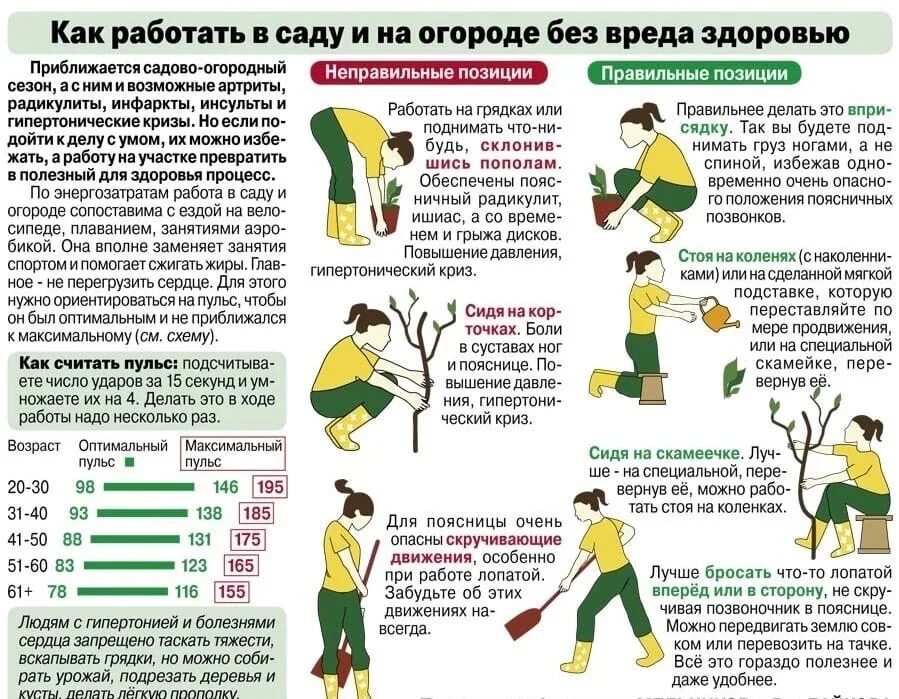 Можно ли работать 3 3. Как правильно работать в огороде. техника безопасности на даче. правильные позы для работы в огороде. памятка для работы в огороде.