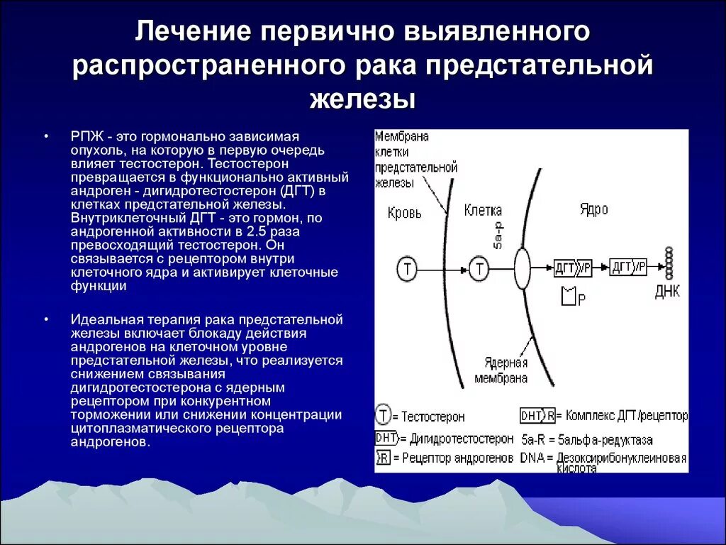 Гормонально зависимые опухоли. Лекарство онкология предстательной железы. Лекарство при онкологии простаты. Эндокринно-зависимые опухоли. Лечение рака простаты после