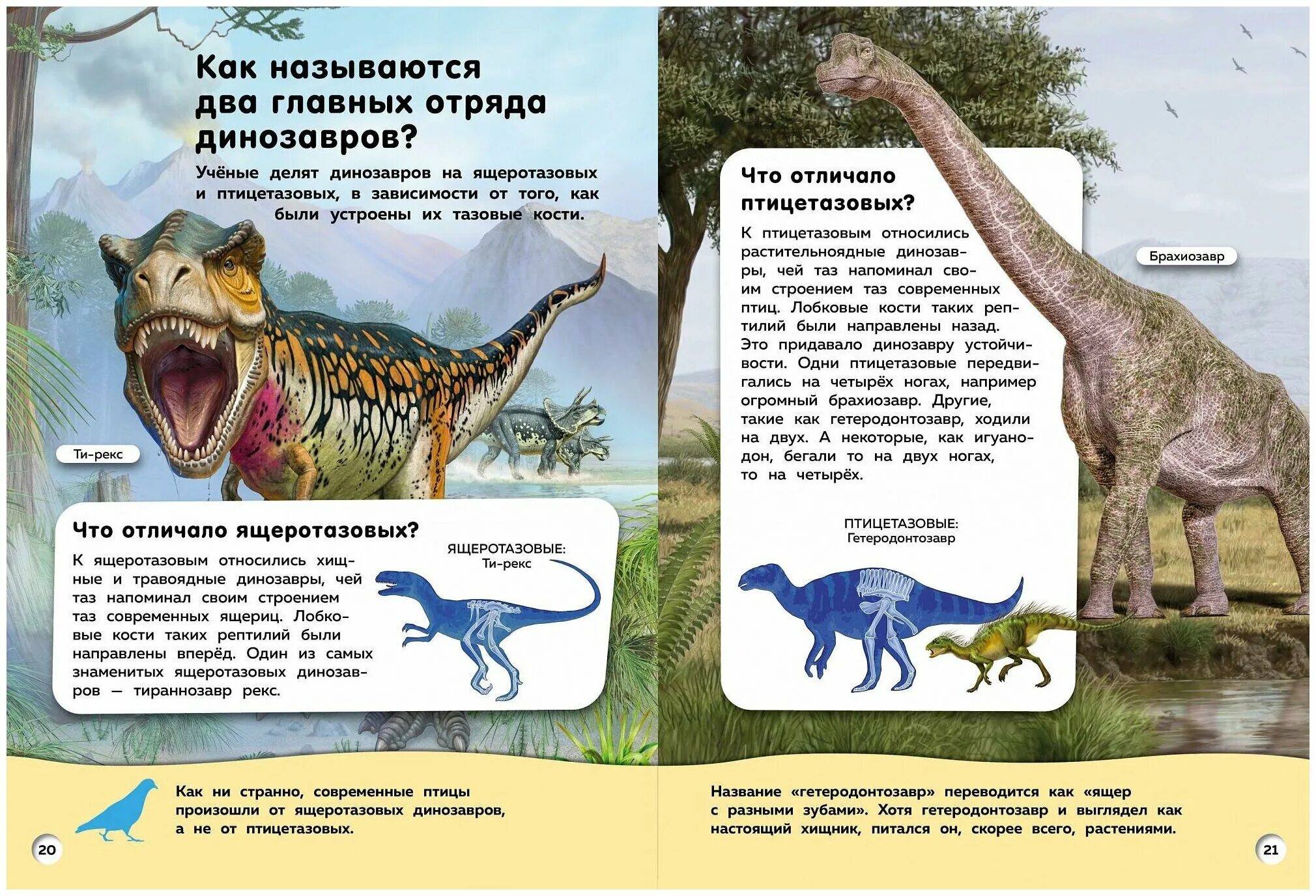 Загадки про динозавров для детей. Ответ динозавр. Загадки про динозавров для детей. Ответ динозавр. Динозавры.