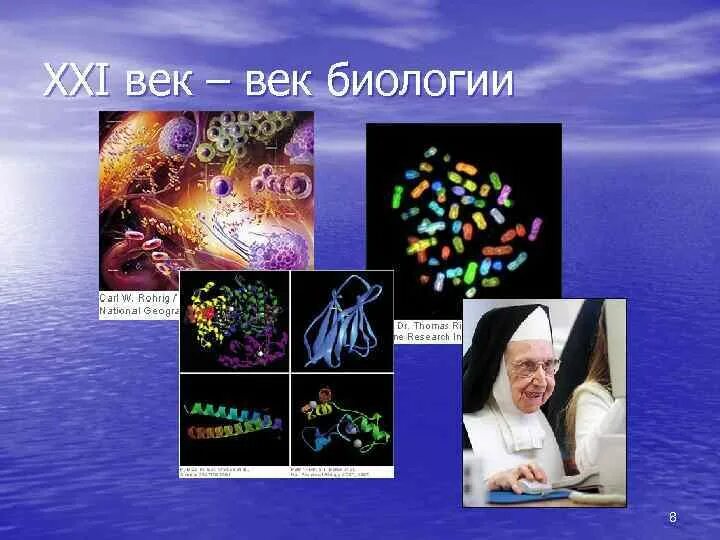 Школа-конференция молодых ученых «биология – наука xxi века». Биология 21 век. 21 век открытия в биологии. Современные достижения в биологии в 21 веке. Открытия в биологии.