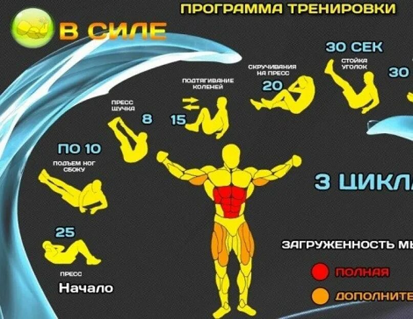 Тренировка на ноги для мужчин. Тренировка ног дома для мужчин без железа. Программа тренировок на ноги. Тренировка без железа. Тренировка ног в домашних условиях для мужчин.