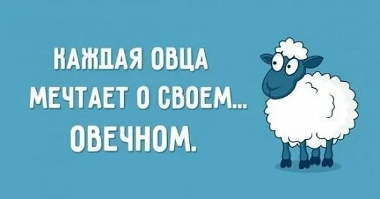 Овца мечтает. Каждая овца мечтает о своем овечьем. Овечка думает. Овца мечтает. Каждая овца мечтает о своем о вечном.