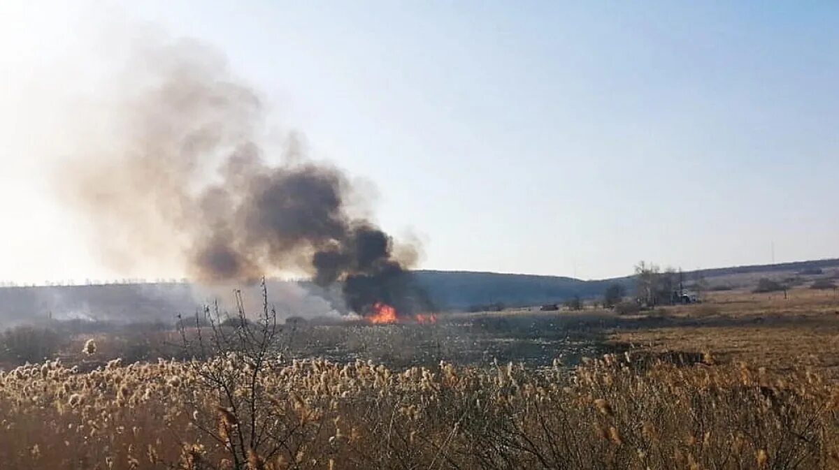 Козловка Бутурлиновского района. Село Козловка Бутурлиновского района Воронежской области. Филиппенково Бутурлиновский район Воронежская область. Воронежская область Бутурлиновка село Козловка. Хлопки в воронежской области