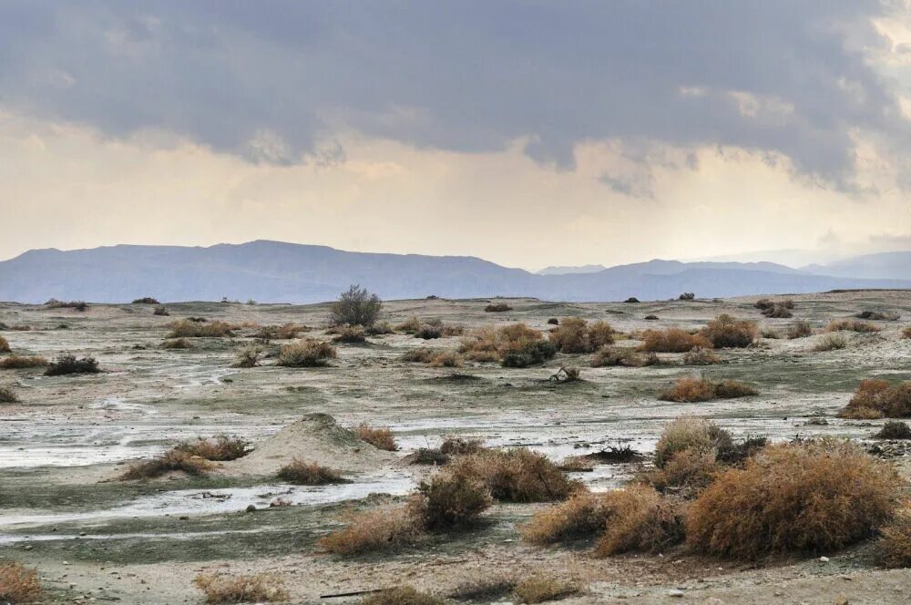 пустыня умеренного климата. северная америка ландшафт полупустыня. климат пустынь и полупустынь в россии. южная африка калахари. пустыни и полупустыни зима.