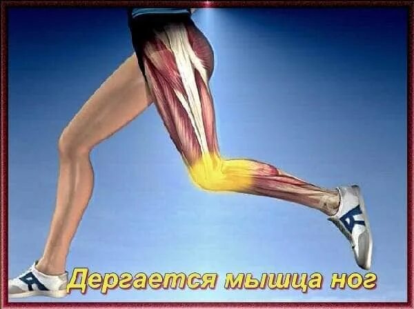 Почему постоянно дергаю ногой. Дёргаются мышцы по всему. Подергиваются мышцы на ногах. Подергивание мышц бедер.