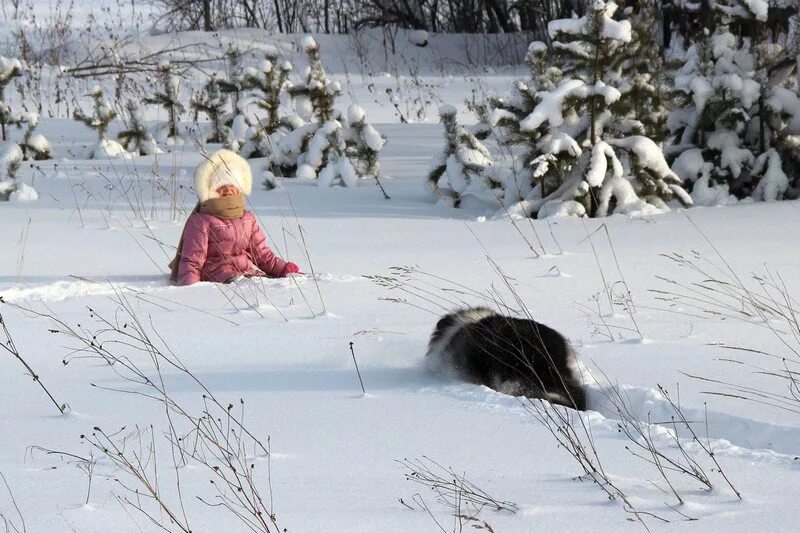 Сугробы по колено