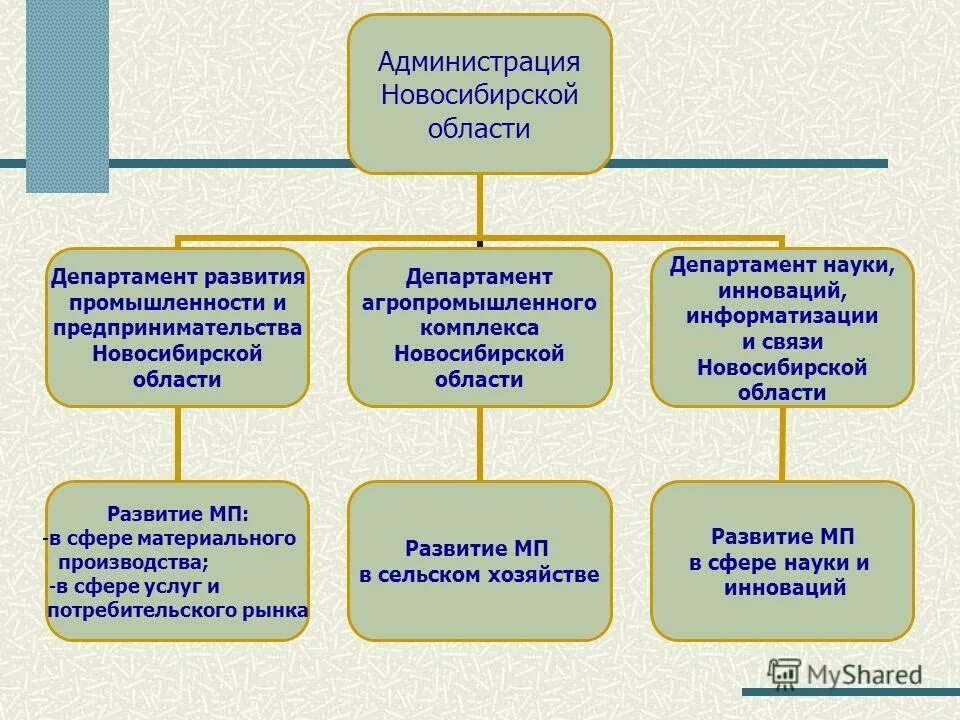 Департамент развития бизнеса. Структура правительства НСО. Департамент развития. Администрация Новосибирской области. Структура власти Новосибирской области.