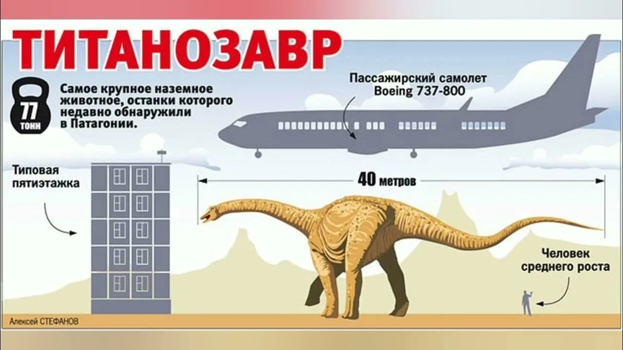 Сравнение динозавров. Размеры динозавров в сравнении с человеком. Самый большой динозавр Размеры. Самый большой динозавр в высоту. Титанозавр размер с человеком.