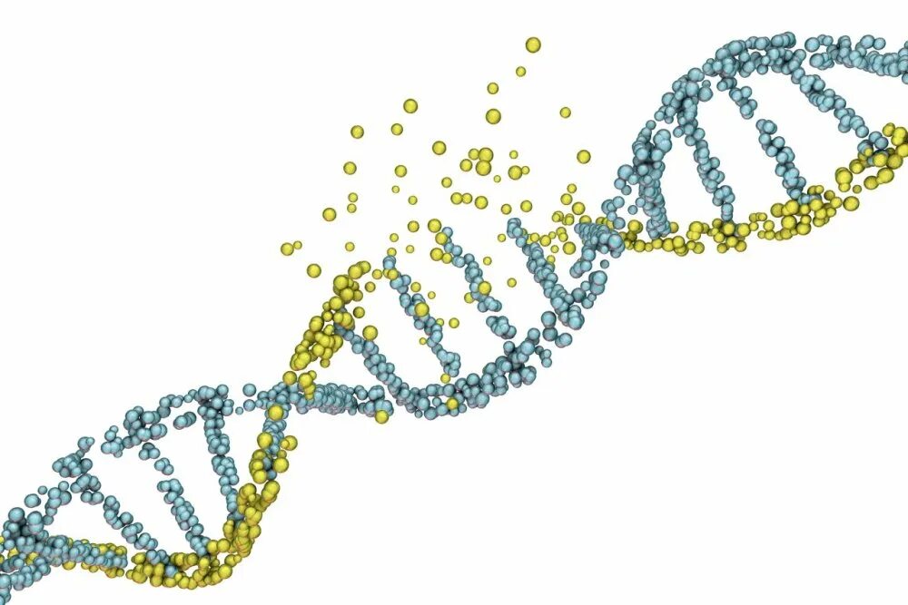 Днк 11 03 2024. Цепь молекулы ДНК. ДНК на белом фоне. Цепочка ДНК на прозрачном фоне. ДНК иллюстрация.