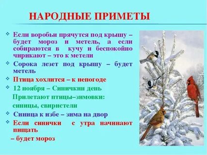 Зимних примет