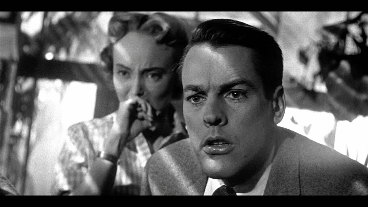 1956 похититель тел. Вторжение похитителей тел фильм 1956. вторжение похитителей тел фильм 1978. mdamran1956.