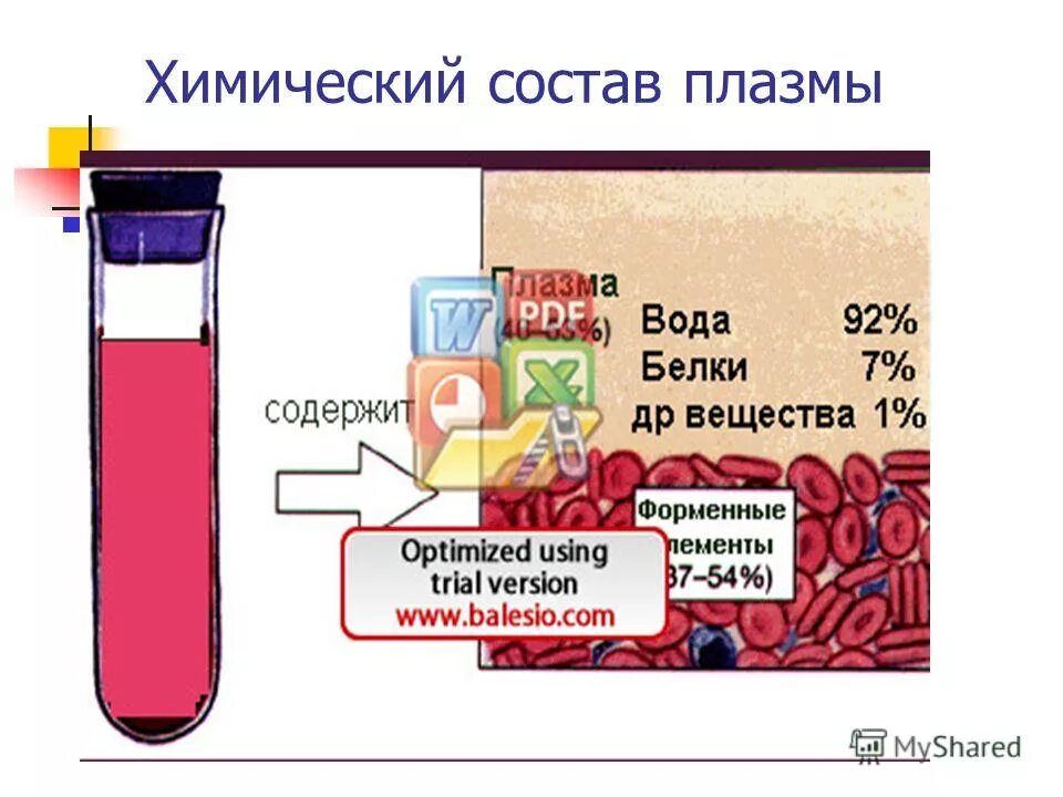 В состав плазмы крови входят белки