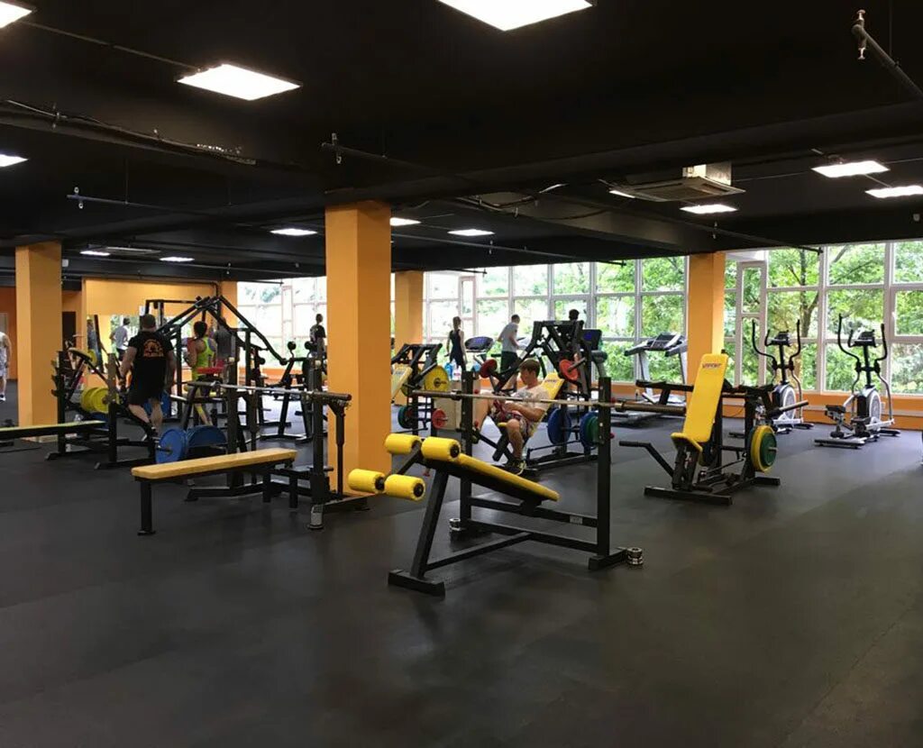 Фитнес зал медведь пенза. Медведь пенза тренажерный зал. Спортзал медведь брюховецкая. Тренажерный зал медведь. Тренажерный зал медведь.