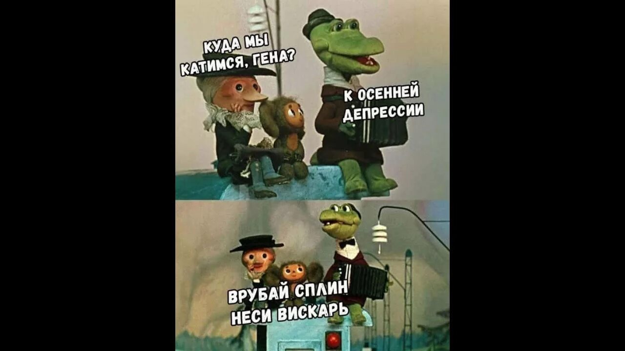Куда мы катимся гена. Мемы про гены. Девочки в общежитии. Женщина избила девочку в лифте. Чебурашка косплей.