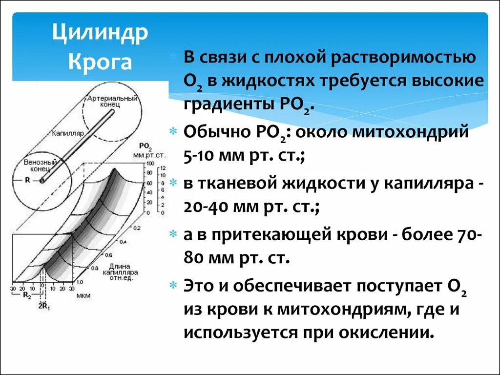 Крога 3.3 5. Цилиндр Крога. Метод Крога. Метаболиметр.