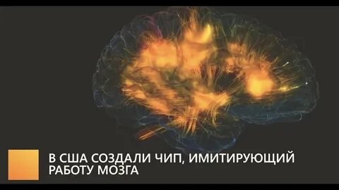 Чипа чип вижу