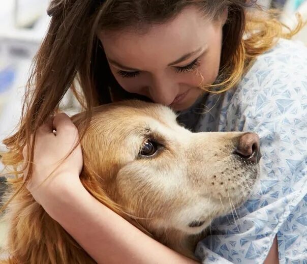 Собака влияет. Породы собак характер. Влияние собак на здоровье человека проект. Влияние животных на здоровье человека. Влияние животных на организм человека.
