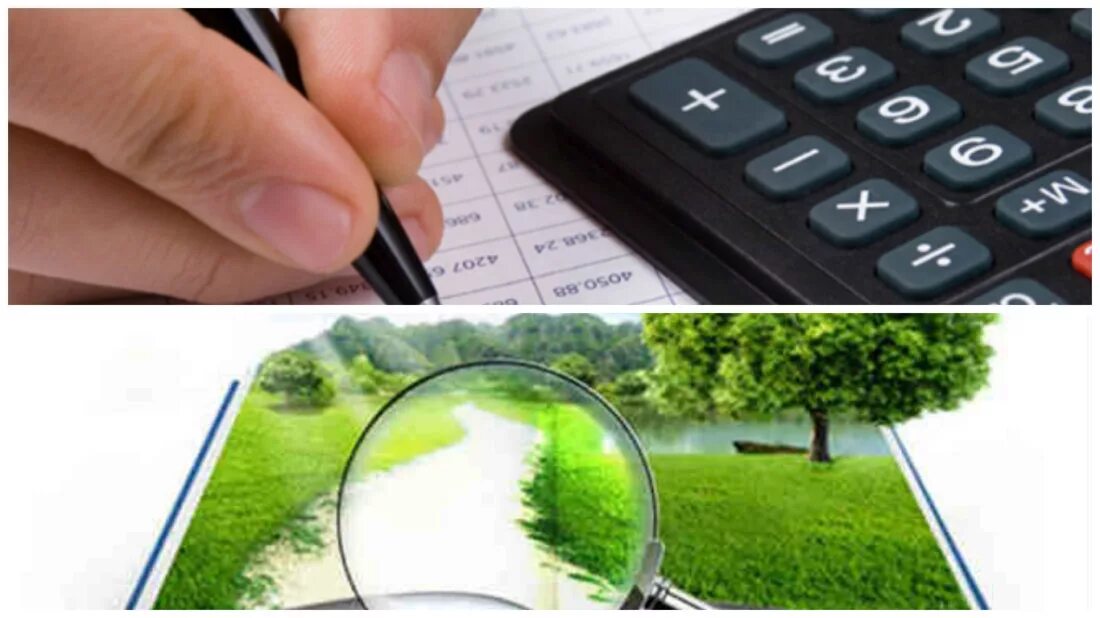 Учет и оценка земель. Оценка земельных участков. Учет и оценка земель. Межевание. Земельный кадастр.