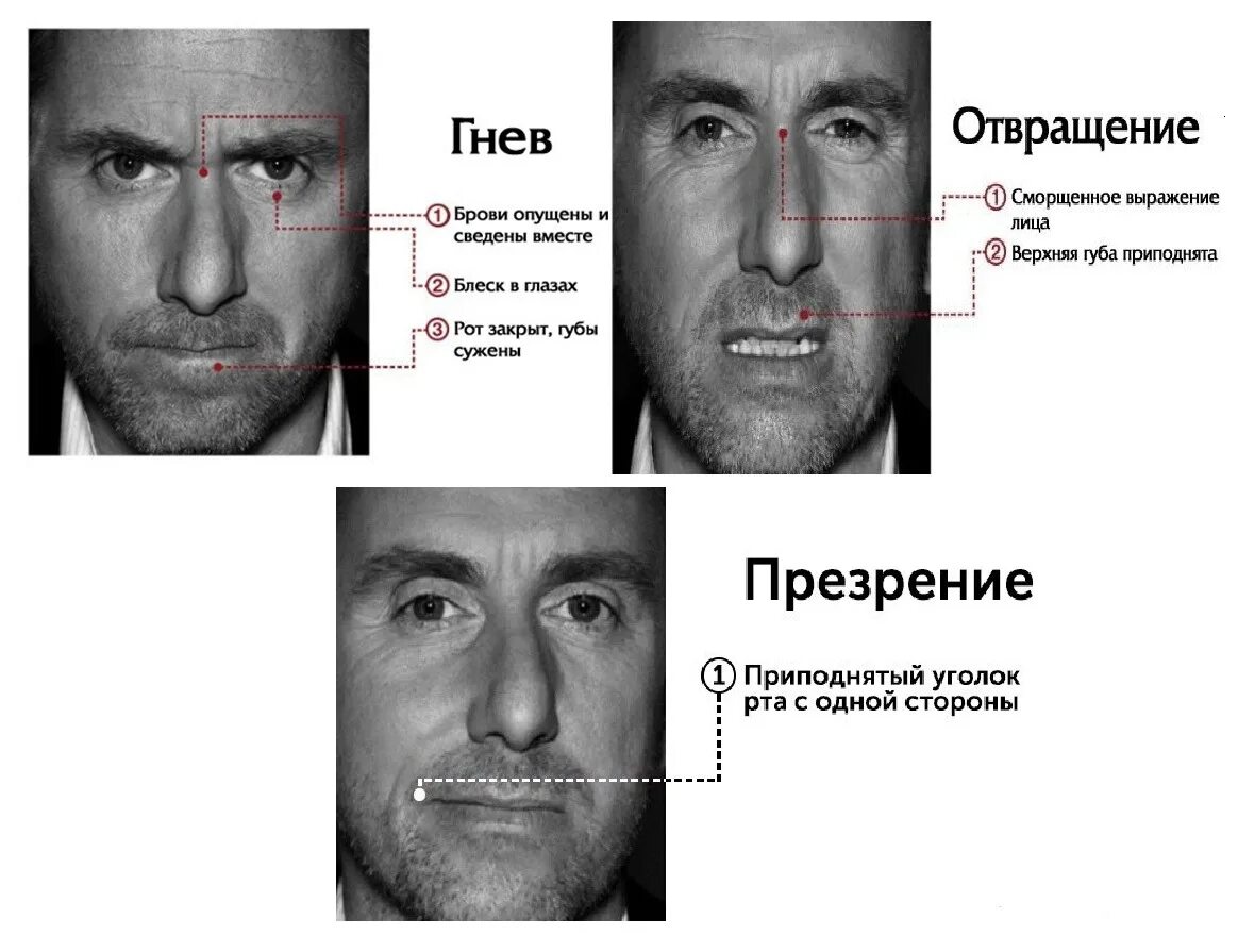 Опускают какое лицо. Презрение эмоция. Презрение мимика. Отвращение мимика. Эмоции человека презрение.