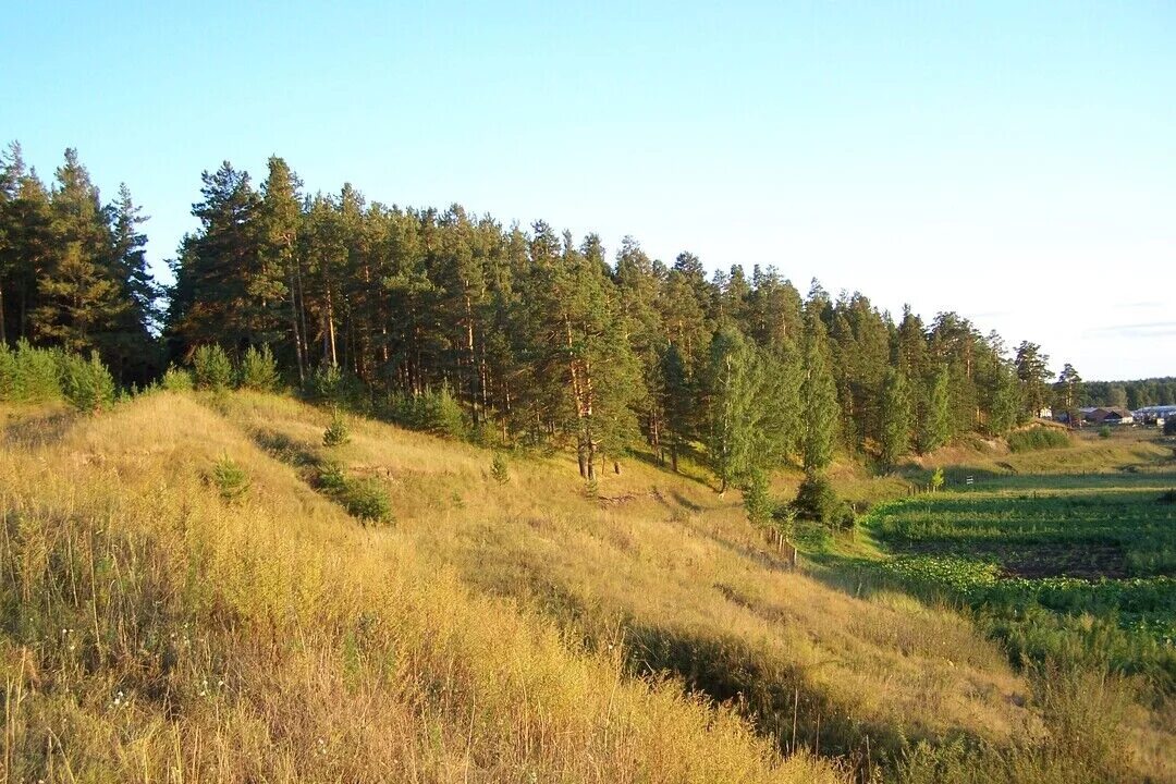 Тальменский район село Зайцево. Тальменский район Алтайский край. Ларичиха Тальменский район Алтайский.