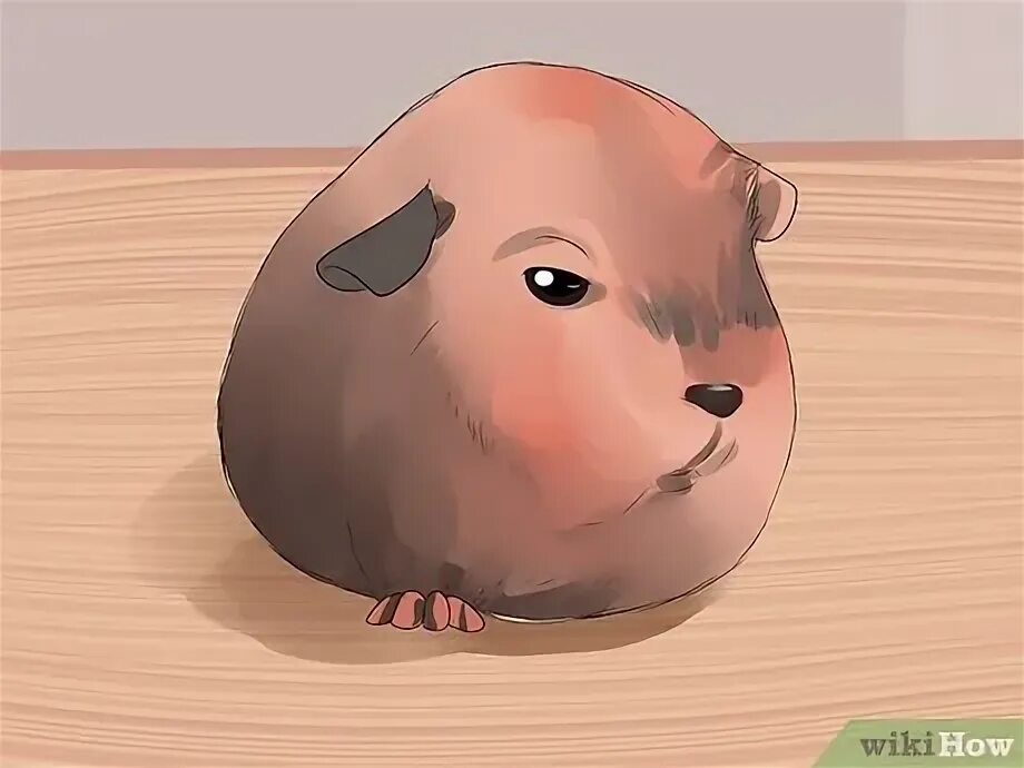 Pig step